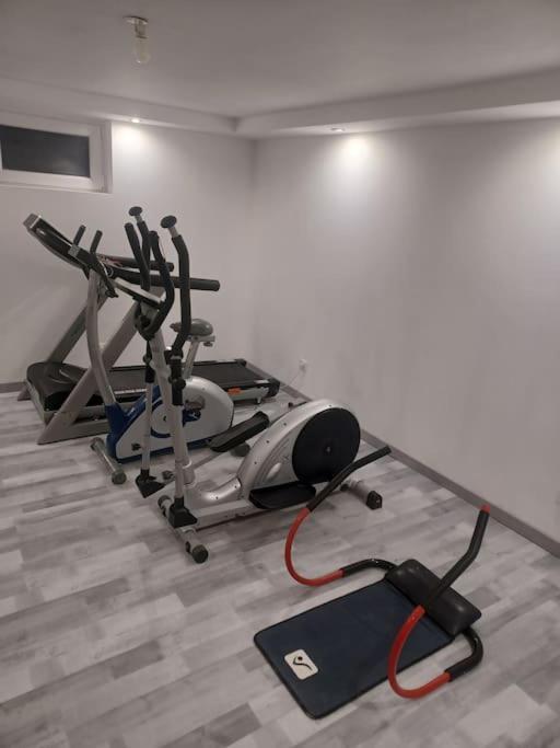 Tres Bel Appartement Type Loft De 40 M2 Dans Maison Avec Parking Privatif Lingolsheim Exterior foto