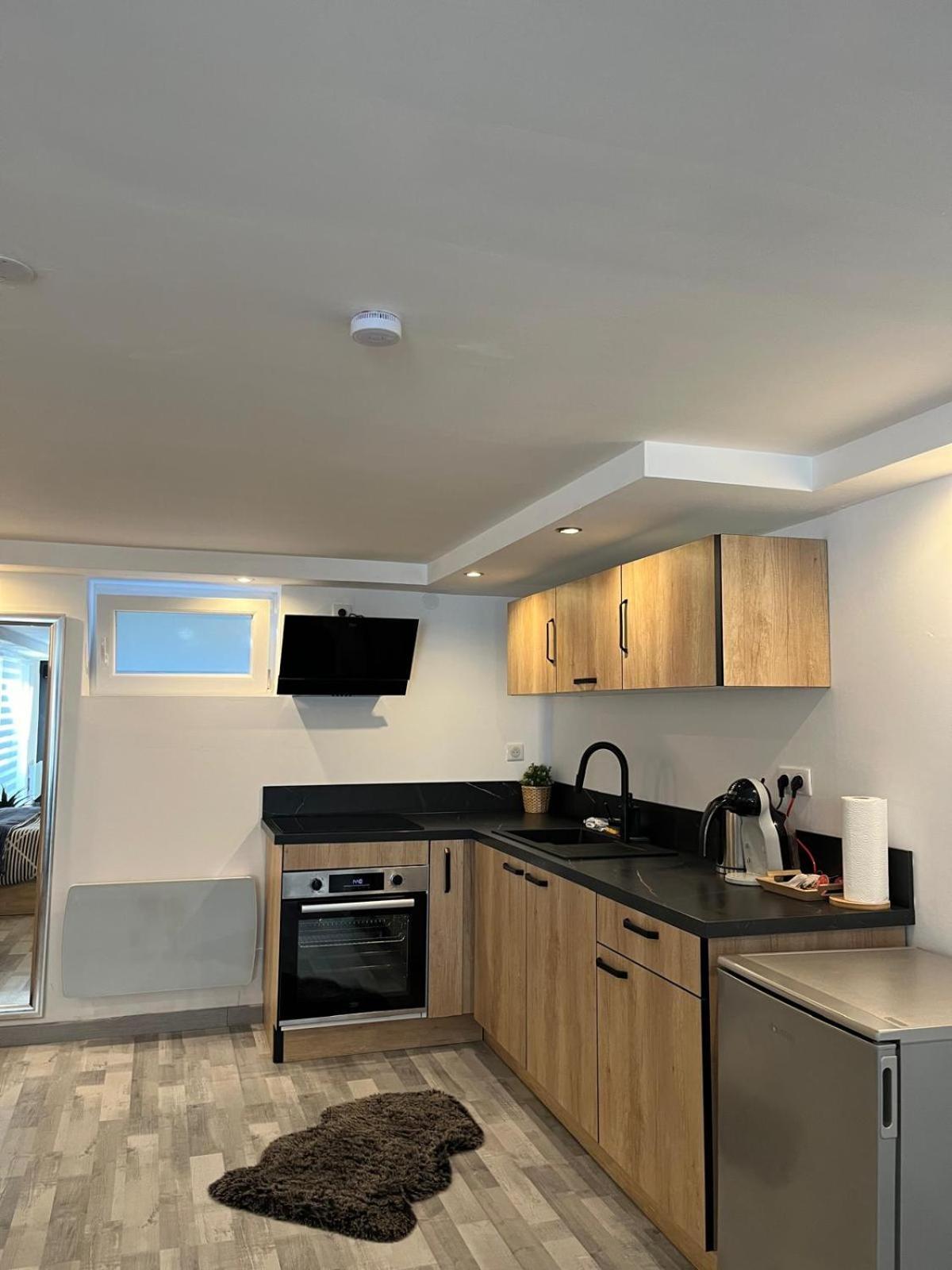 Tres Bel Appartement Type Loft De 40 M2 Dans Maison Avec Parking Privatif Lingolsheim Exterior foto